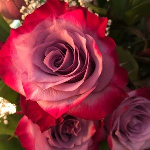 Meet your Posher, Valerie